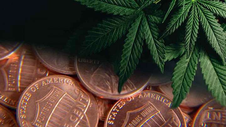 marijuana stocks penny stocks